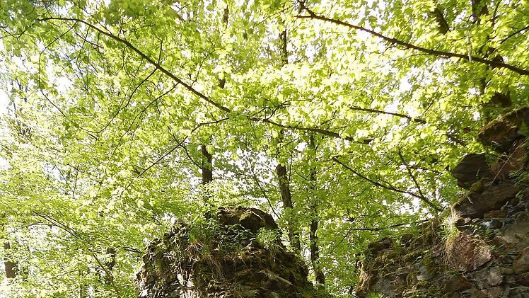 Friedrich-Rückert-Weg: Runie Rotenhan