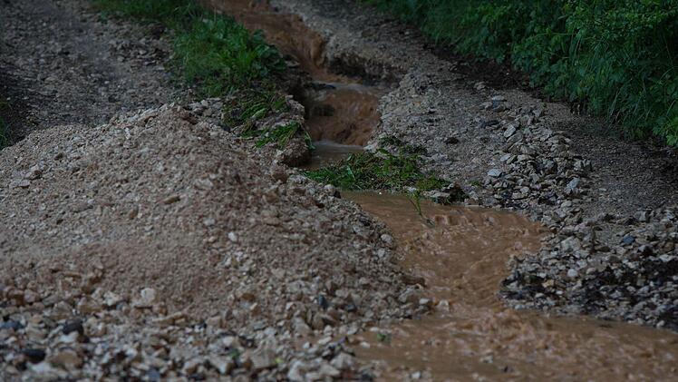 Foto: News5 / Goppelt