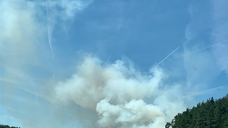 Waldbrand ruft Feuerwehr auf den Plan