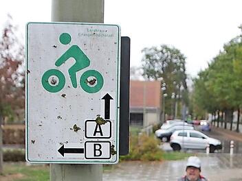 Die Radler in Höchstadt warten schon lange auf den Radweg nach Weisendorf.  Foto: Andreas Dorsch (Archiv)