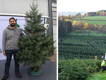 Rudendorf: Franke erhält Auszeichnung für besondere Tanne - "schönster Christbaum"
