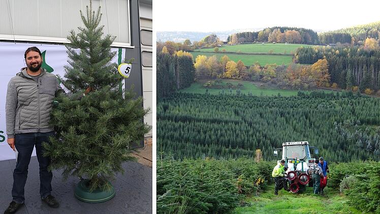 Rudendorf: Franke erhält Auszeichnung für besondere Tanne - "schönster Christbaum"