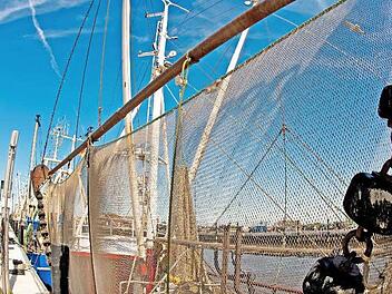 Schiffe gucken - das geht zum Beispiel im Hafen von Dornumersiel.