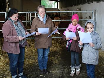Mitten im Stall bei den Kühen spielt sich in diesem Jahr in Oberschwappach die Kindermette am 24. Dezember ab: Martina Schierling (von links) und Traudi Oppelt üben zusammen mit den Kommunionkindern Leila Dykes, Anna Basel und anderen die Texte ein.Johanna Eckert