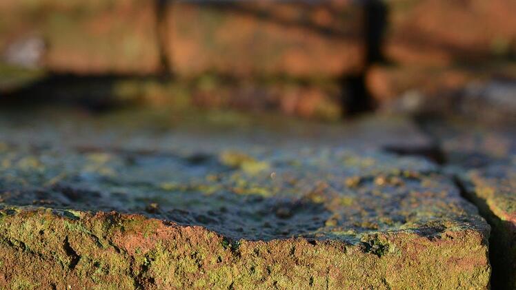 Die M&auml;nner bewarfen sich mit Steinen. Symbolfoto: Kapa65 /pixabay.com