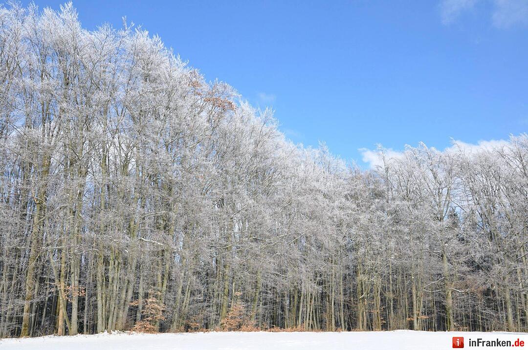 Eis und Schnee in Franken - die schönsten Winterleserfotos