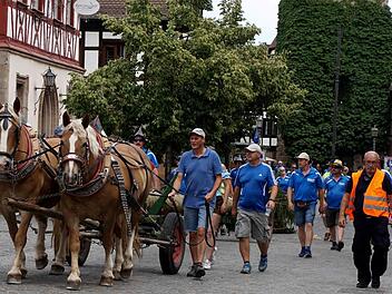 Brav und zuverlässig ziehen Marille und Mirabell den Baum durch die Stadt.  Fotos: Richard Sänger