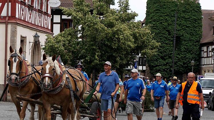 Brav und zuverlässig ziehen Marille und Mirabell den Baum durch die Stadt.  Fotos: Richard Sänger