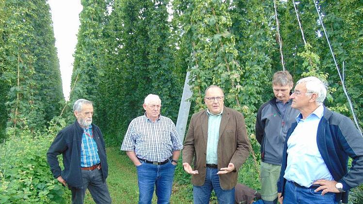 Informationstreffen bei den Lillinger Hopfenbauern Foto: Petra Malbrich