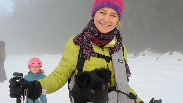 Hund "Maddy" f&uuml;hlt sich wohl im Spezial-Sack, um von Frauchen transportiert zu werden. Foto: Gerhard Fischer