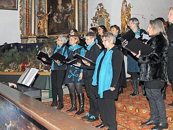 Der Chor "Ton-Art" bei seinem Auftritt in der Dormitzer Pfarrkirche.  Foto: Karl Heinz Wirth