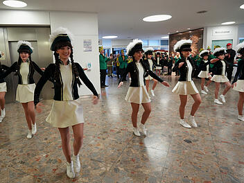 Rosenmontag im Landratsamt: Musik und Tanz statt Akten und Termine