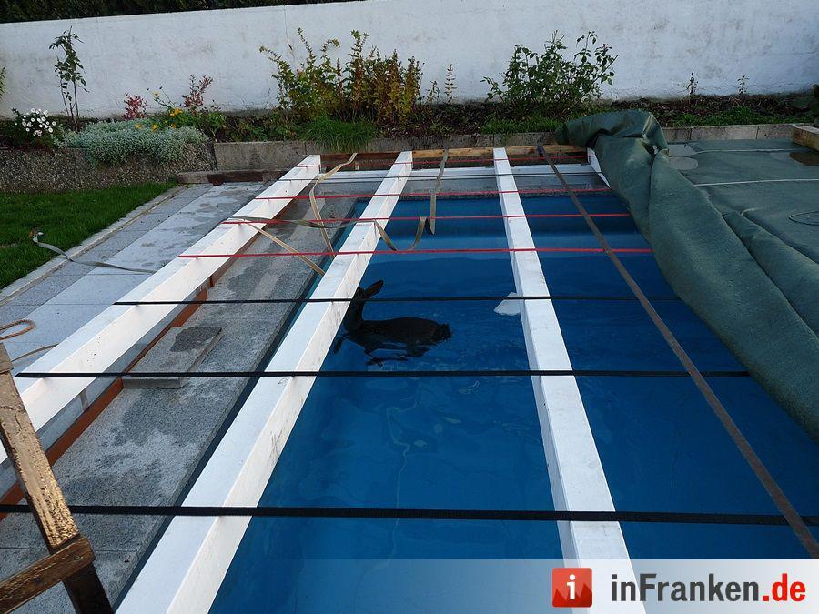 Reh fällt in den Pool und wird gerettet