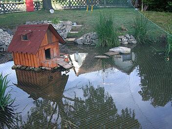 Flugs haben die Rottenbacher ein Entenhäuschen mitten in den Teich gesetzt. Und Enten gibt es auch schon. Ob das das Zuschütten des Teichs verhindert? Foto: Doris Weidner