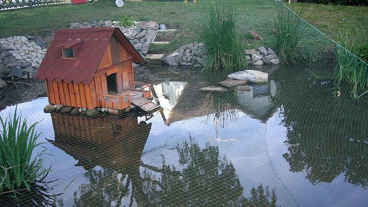 Flugs haben die Rottenbacher ein Entenhäuschen mitten in den Teich gesetzt. Und Enten gibt es auch schon. Ob das das Zuschütten des Teichs verhindert? Foto: Doris Weidner