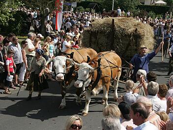 Der Festzug durch den Ort wird wie schon 2007 der Höhepunkt des Heimatfests sein. Foto: Archiv/Karlheinz Franz