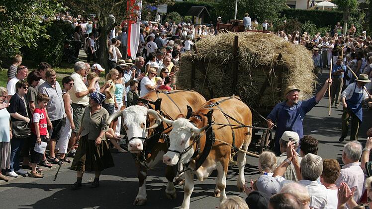 Der Festzug durch den Ort wird wie schon 2007 der Höhepunkt des Heimatfests sein. Foto: Archiv/Karlheinz Franz