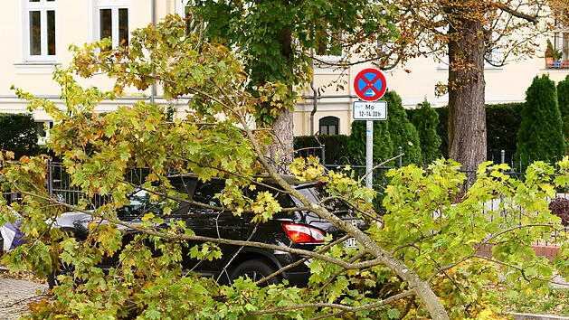Sturmtief - Sch&auml;den in Berlin