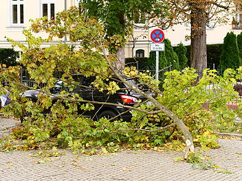 Sturmtief - Schäden in Berlin