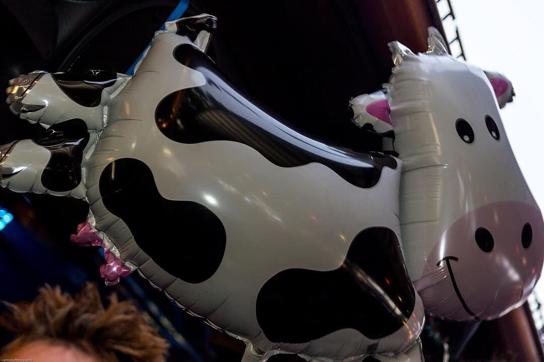 30.05.2015 Erlangen - Bergkirchweih Tag 10