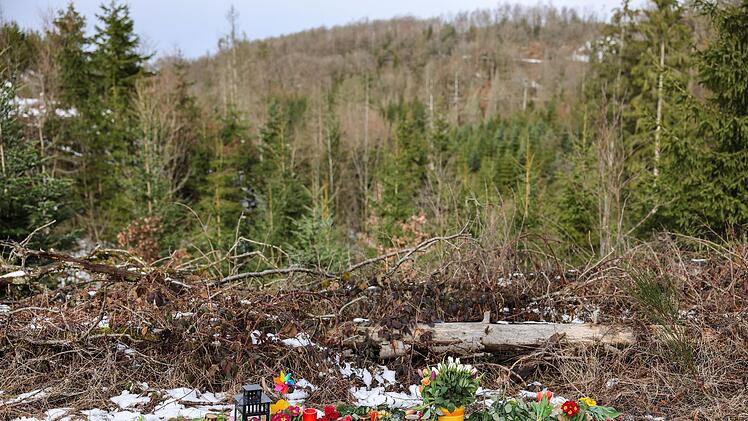 Gedenken an Luise in Freudenberg