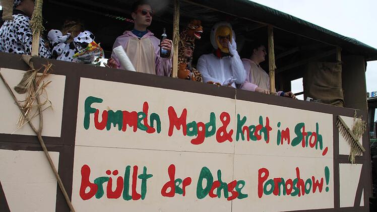Der Faschingsumzug in Ebensfeld, Foto: Sarah Stieranka