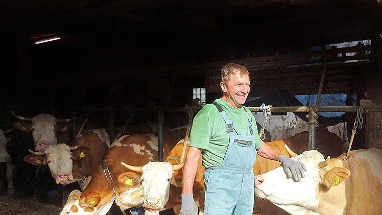 Der Landwirt Hans Herbst mit seinen Kühen in Niedermirsberg Foto: privat