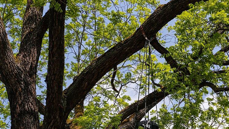 Eröffnung der Großplastikenausstellung von Rui Chafes in Bamberg am 12. Mai 2018. Foto: Matthias Hoch