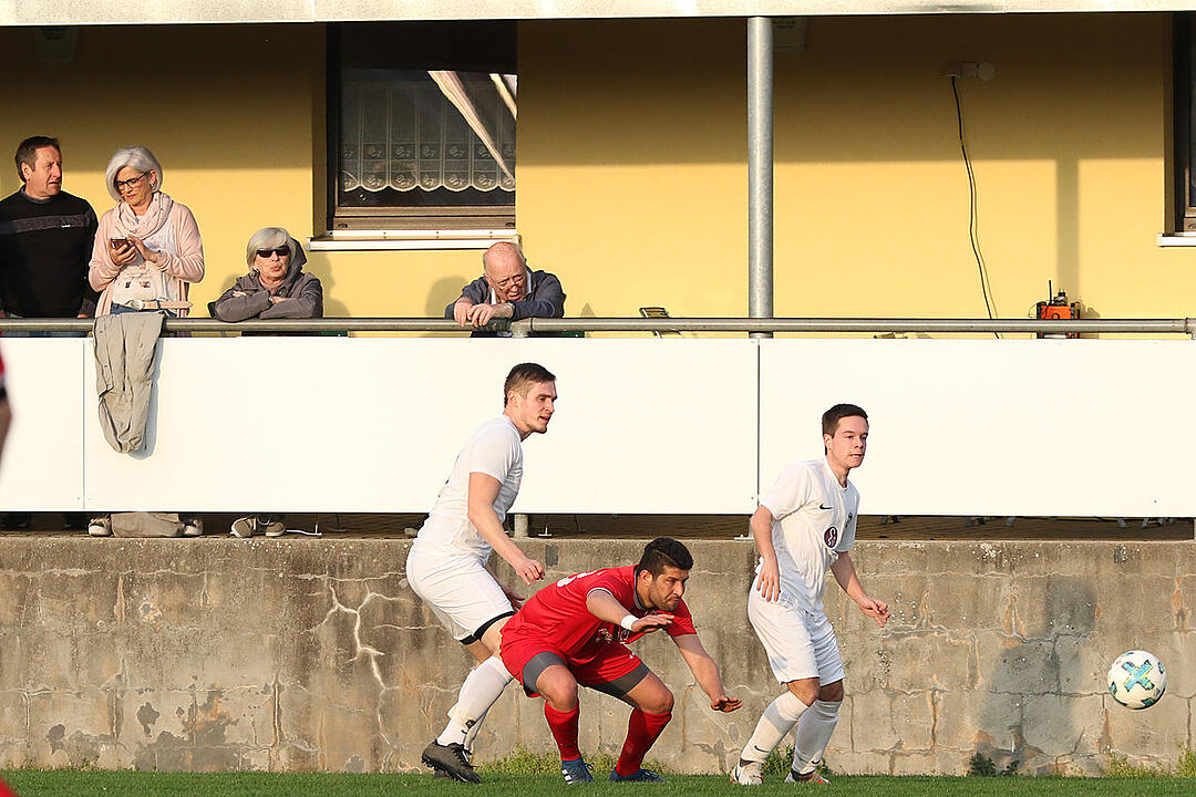 Dettelbach und Ortsteile - TSV/DJK Wiesentheid