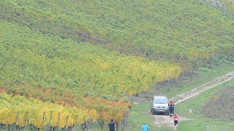Weinberglauf beim SV Ramsthal. Foto: ssp