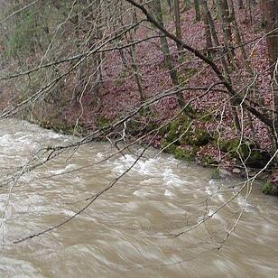 Steinach an der Waldschänke