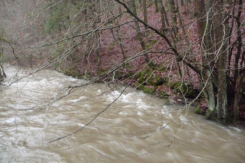 Steinach an der Waldschänke