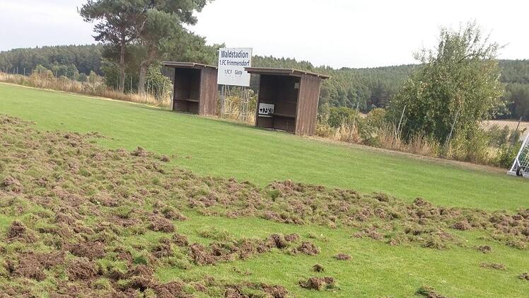 Eine Spur der Verw&uuml;stung hinterlie&szlig; eine Rotte Wildschweine auf dem Hauptplatz des FC Frimmersdorf. privat
