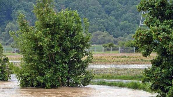 Bilder von den hohen Fluten in Hallstadt. Foto: Sebastian Pflaum
