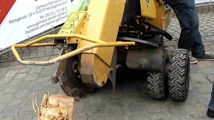 Foto: Richard Sänger