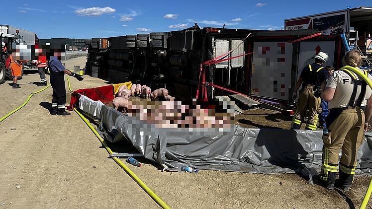 Schweinetransporter auf A3 im Kreis Kitzingen umgekippt