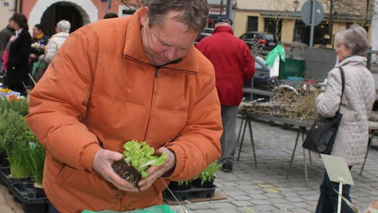 Horst Raab aus Bamberg bietet vorgezogenen Salatpflänzchen auf dem Wochenmarkt an. Foto: Sonja Adam
