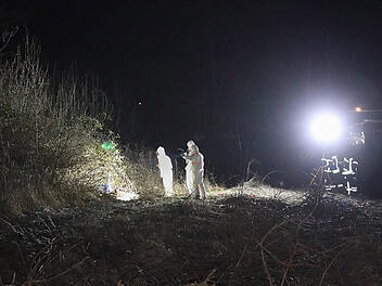 "Dauert eine Weile": Sexpuppe löst Großeinsatz aus - Irrtum fällt erst nach mehreren Stunden auf