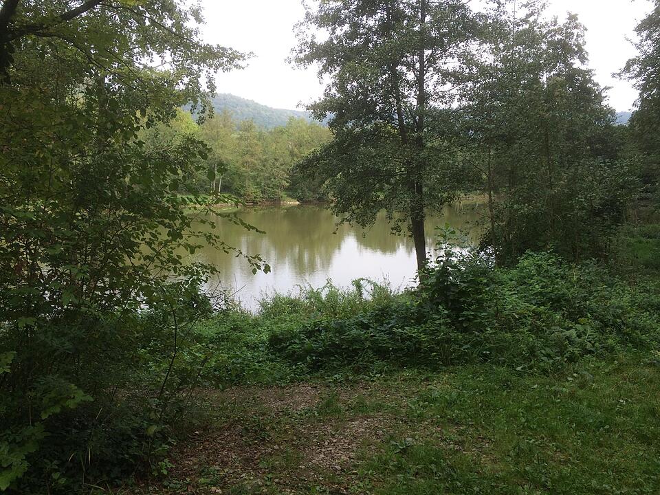 TraumRunde Iphofen