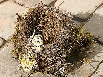 Mittlerweile findet sich Plastikm&uuml;ll immer h&auml;ufiger in Vogelnestern. Dies musste BN-Mitglied Dieter Fischer aus Lichtenfels leider auch im eigenen Garten feststellen.