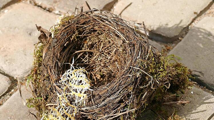 Mittlerweile findet sich Plastikmüll immer häufiger in Vogelnestern. Dies musste BN-Mitglied Dieter Fischer aus Lichtenfels leider auch im eigenen Garten feststellen.