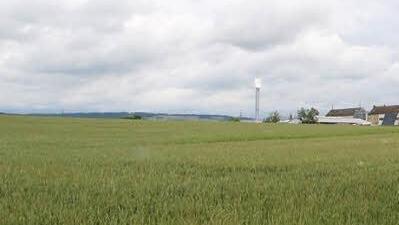 Hier könnte die Stadt Wohnbebauung zulassen, doch sie will nicht. Der Neuseser Bürgerverein fordert dagegen Baumöglichkeiten. Foto: Ulrike Nauer