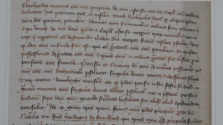 Der Autor fand im Bamberger Staatsarchiv dieses Dokument: Die erste urkundliche Erwähnung von Hallerndorf datiert auf das Jahr 1270. Foto: Mathias Erlwein