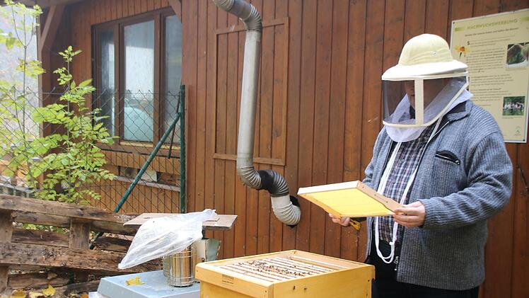 Dieter Schölzke sieht nach einem Bienenvolk. Alles im grünen Bereich. Bei schönem Wetter fliegen die Bienen sogar noch. Thomas Malz