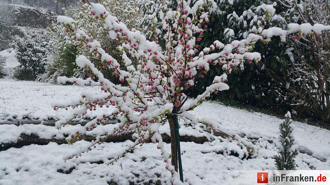 Franken: Ostermontag versinkt im Schnee
