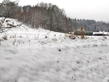 Der Kronacher Stadtrat befasste sich mit den Planungen für das Baugebiet an der Alten Heeresstraße in Vogtendorf. Dieses soll auf der Wiesenfläche links entstehen.
