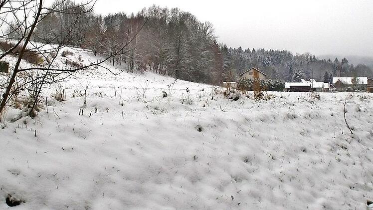 Der Kronacher Stadtrat befasste sich mit den Planungen für das Baugebiet an der Alten Heeresstraße in Vogtendorf. Dieses soll auf der Wiesenfläche links entstehen.