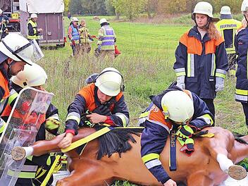 Bei der Einsatz&uuml;bung konnten die Teilnehmer gleich ihr Wissen am Tiermodell in der Praxis umsetzen.