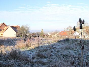 Zahlreiche Bauplätze, die in Münnerstadt in privater Hand sind, werden seit Jahren nicht bebaut.: Heike Beudert