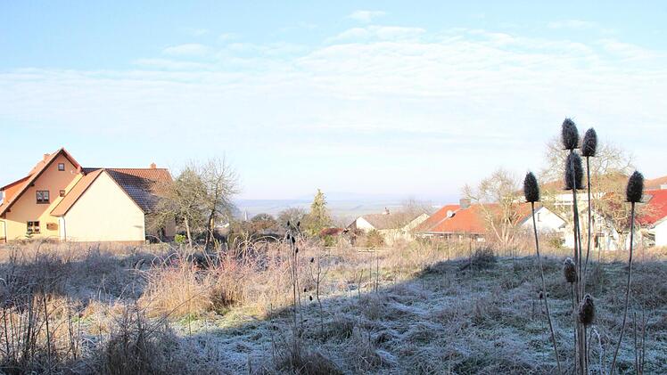 Zahlreiche Bauplätze, die in Münnerstadt in privater Hand sind, werden seit Jahren nicht bebaut.: Heike Beudert